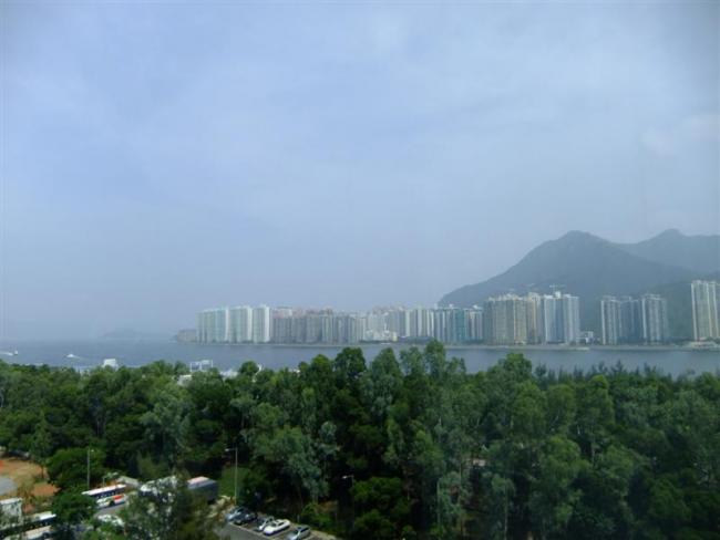 DSCF9584 (Medium).JPG